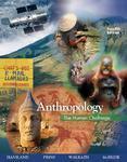 Anthropology, 12th Ed