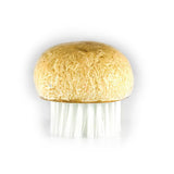 Handy Little Vegetable Brush