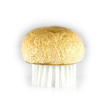Handy Little Vegetable Brush