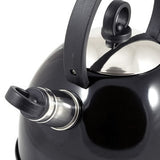 Modern Stove Top Whistling Kettle