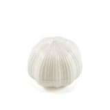 Garlic Chop' Garlic Gadget