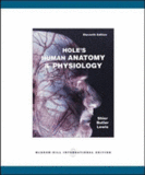 Hole'S Human Anatomy And Physiology, By: ShierÖ11eÖUS ISBN: 73316091ÖCondition: NEW