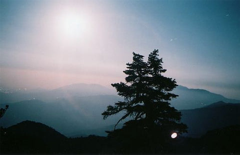 “Moonscape” - Adam Gray