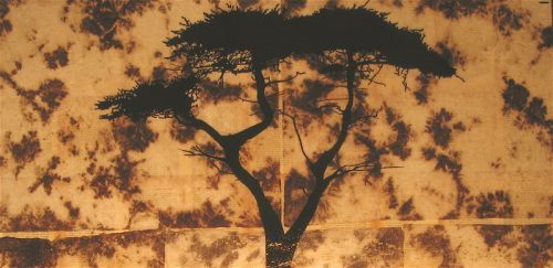 “Focus” - Danny Hughes