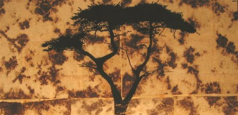 “Focus” - Danny Hughes