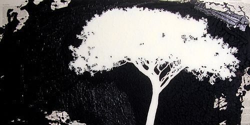 “Illumination” - Danny Hughes