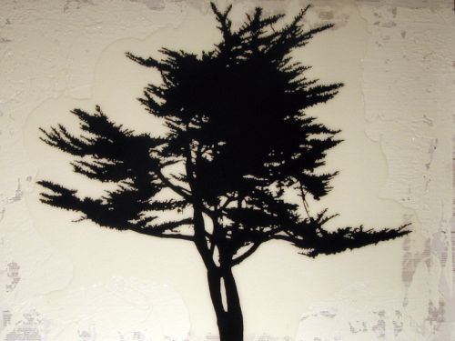 “Judgment” - Danny Hughes