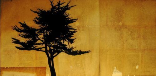 “Nine” - Danny Hughes