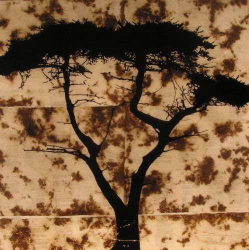 “Open II” - Danny Hughes