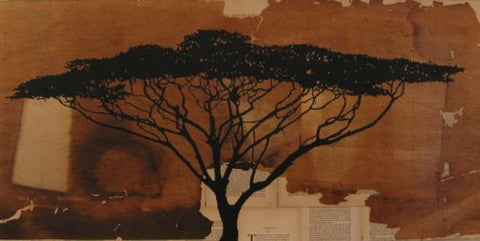 “Revelation” - Danny Hughes